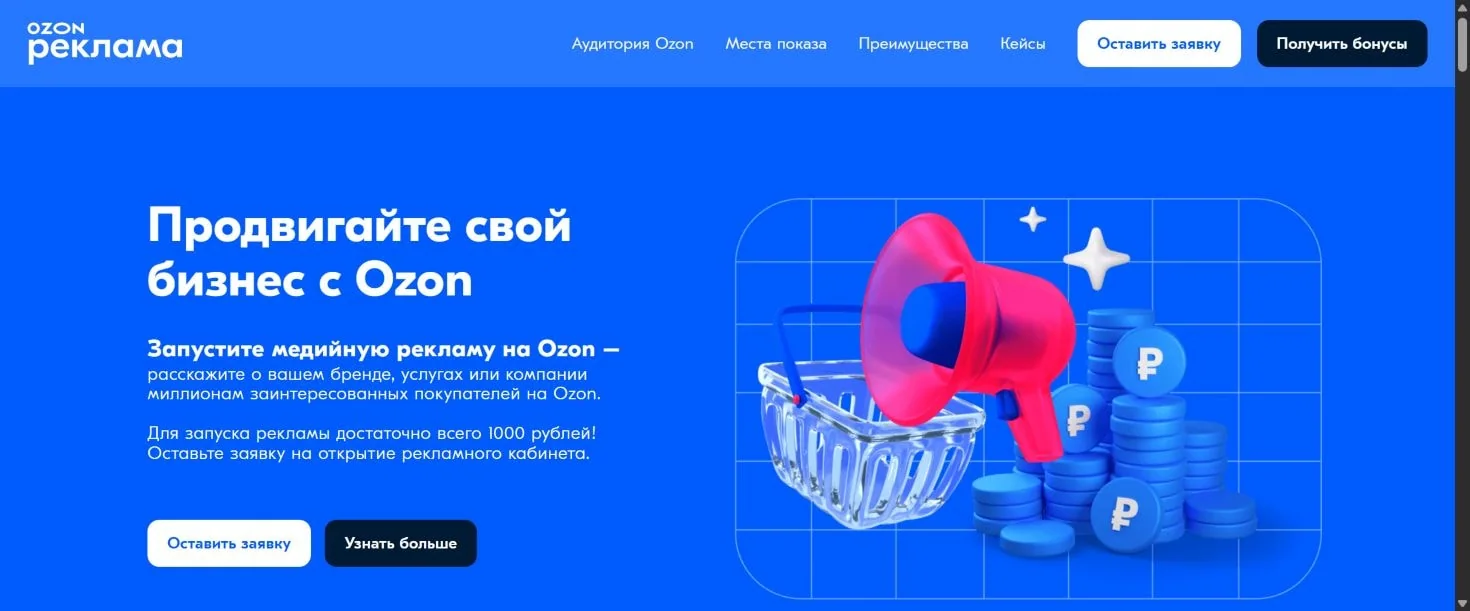 Страница медийной рекламы Ozon с баннерными форматами и местами показа