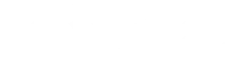 Flippa
