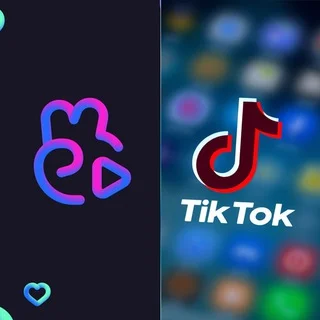 VK & TikTok Saver