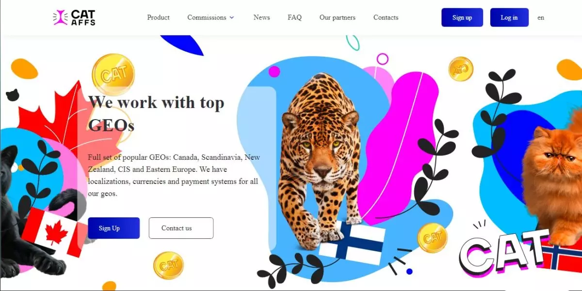 cat 3.jpg
