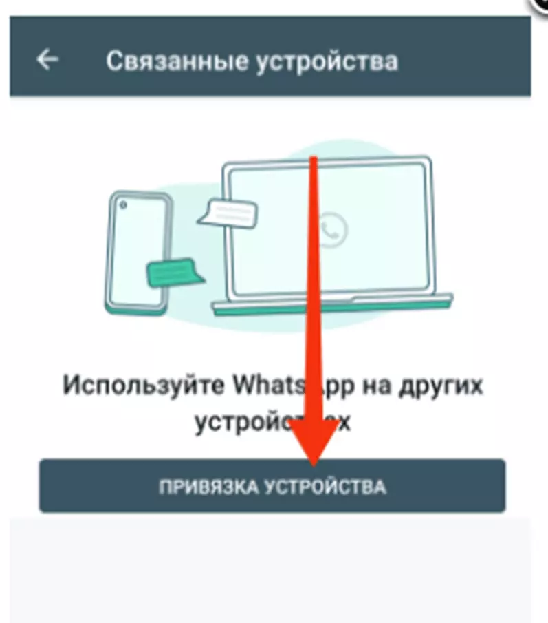 изображение_2022-11-04_165544063.png