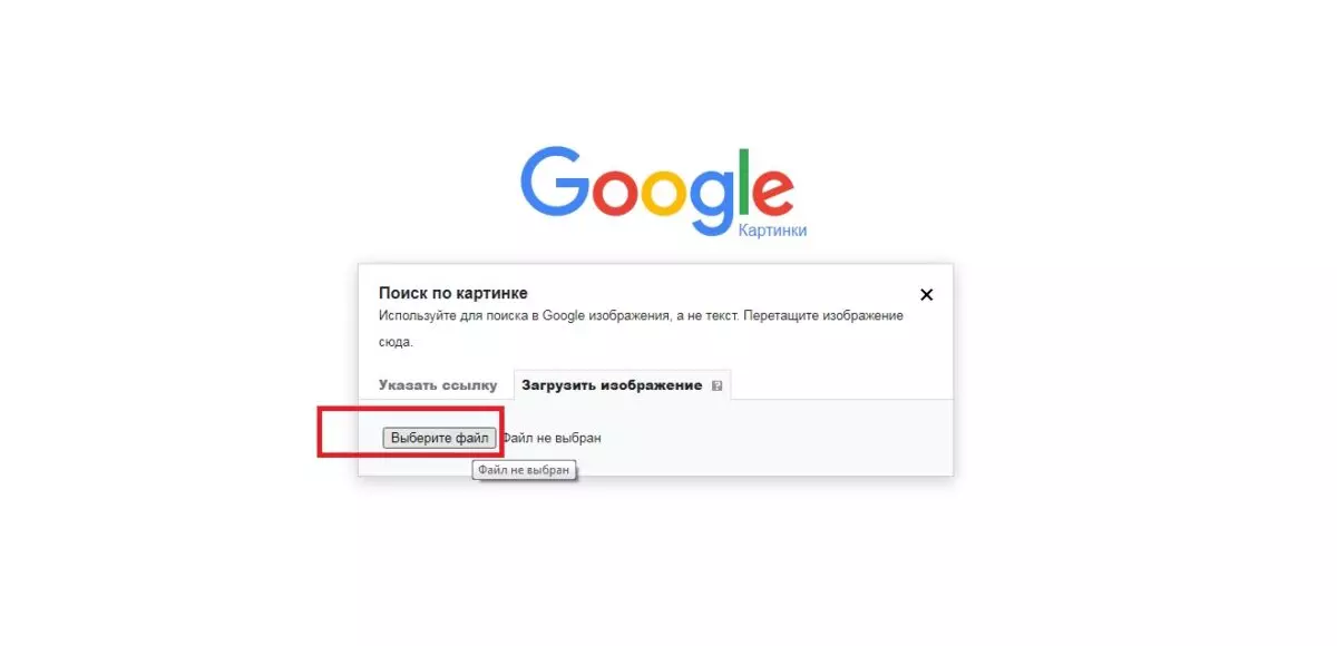 Поиск по картинке2.jpg