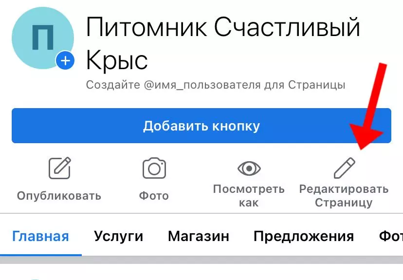 фб редакт 1.jpeg