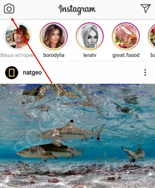 animirovannie-istorii-instagram1.jpg