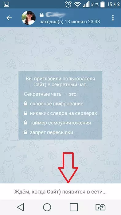 Приглашение в секретный чат