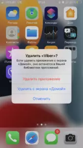 домой-2