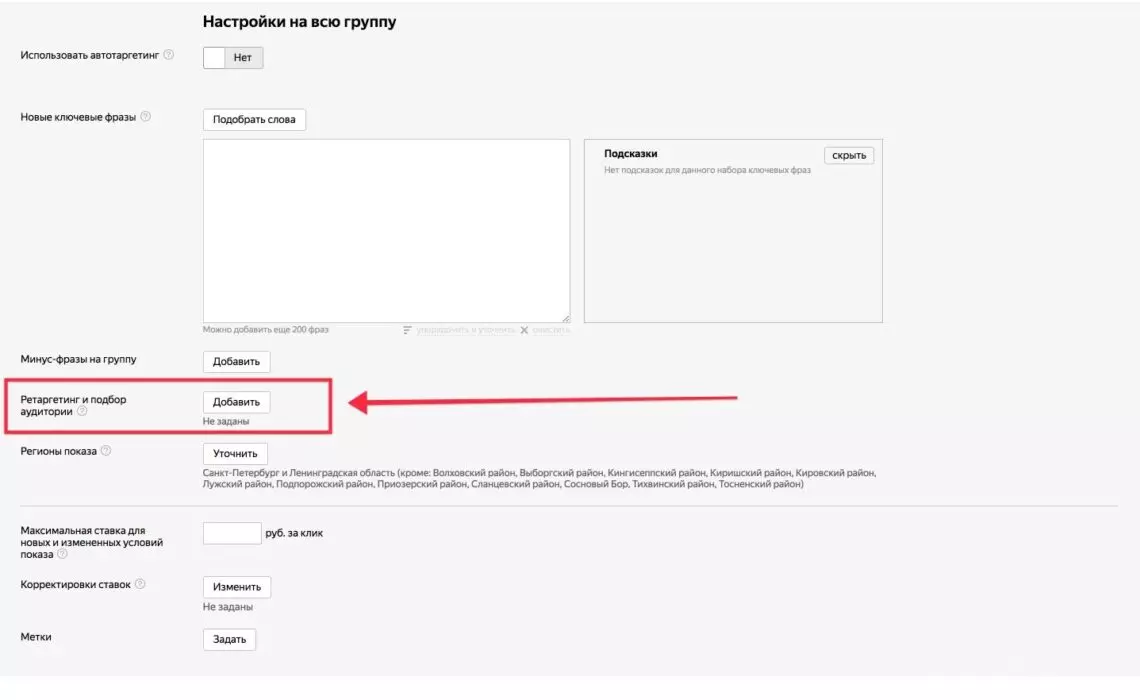 Аудитории в Директе
