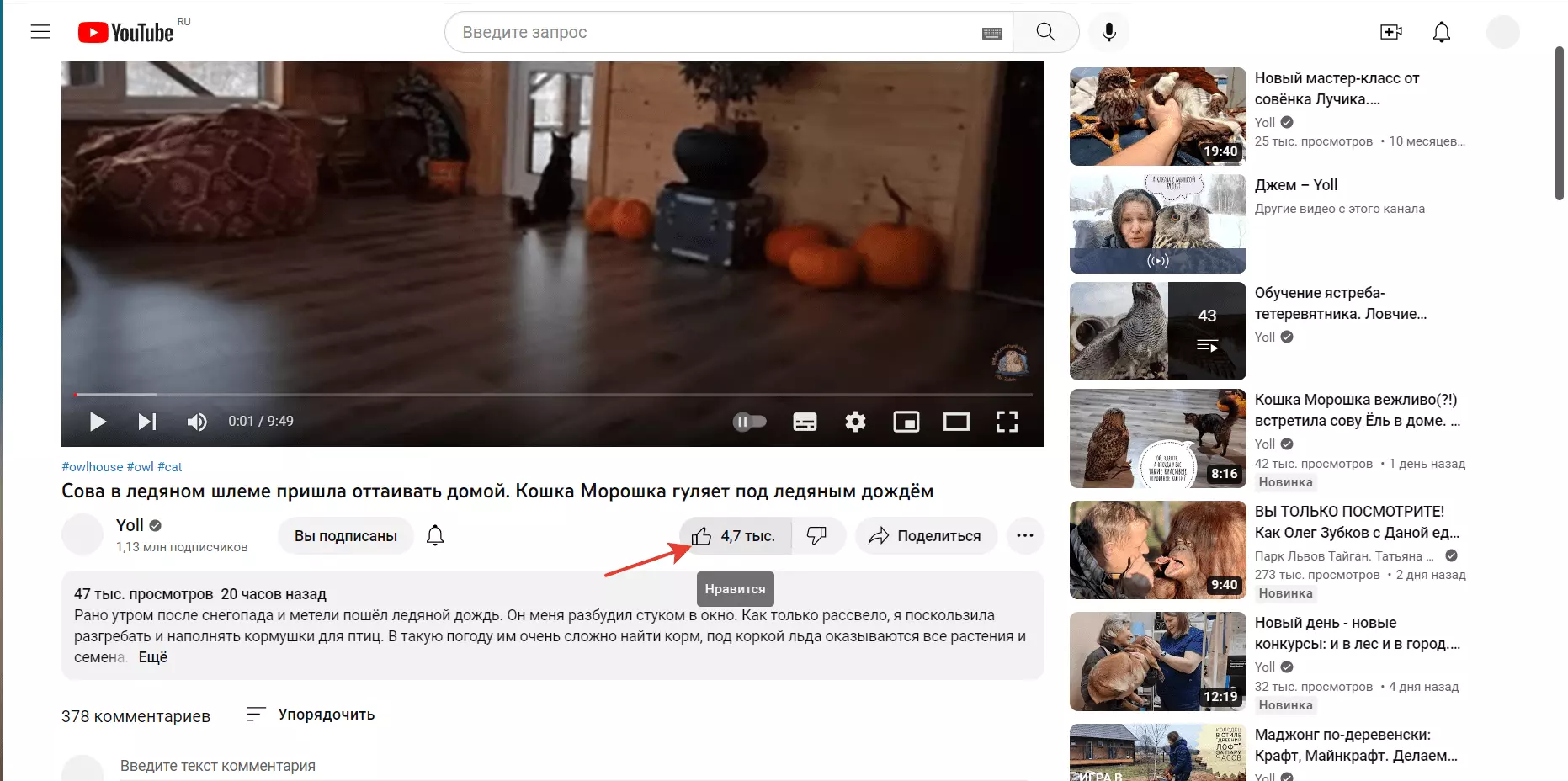 Нажать отметку нравится.png