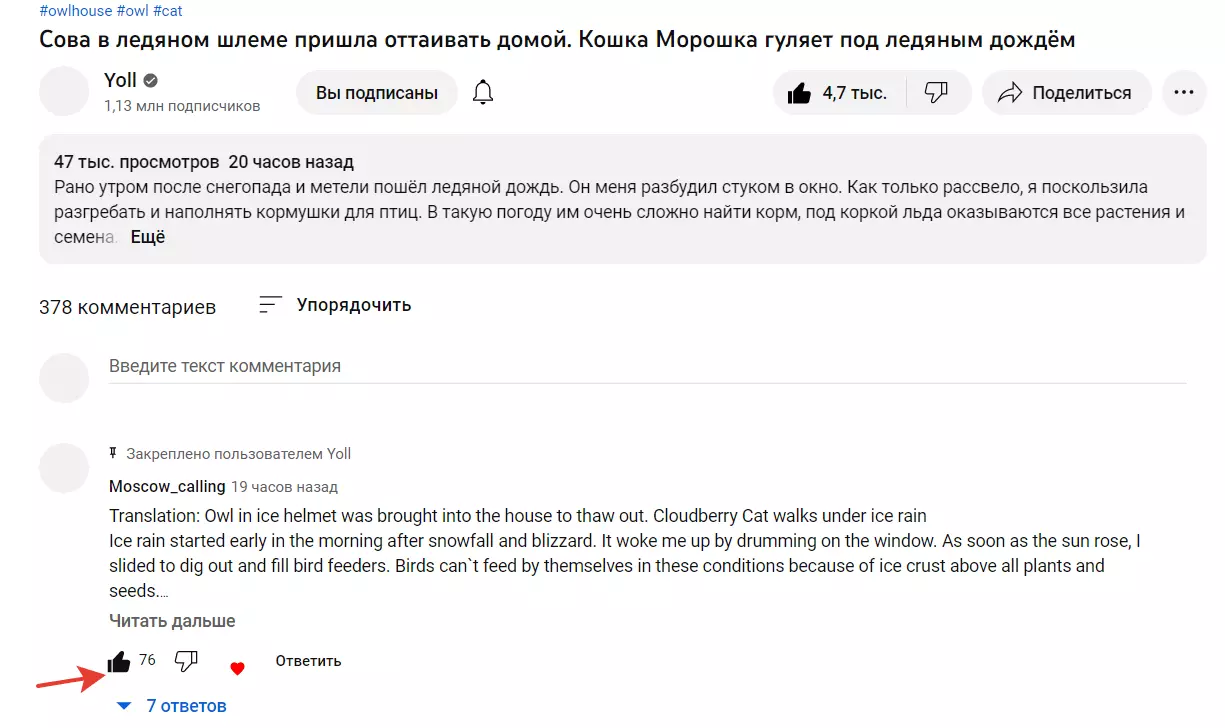 Поставлен лайк на коииентарий.png