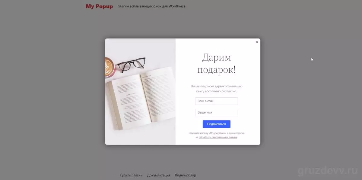 Обзор и отзывы про Wpshop.ru, магазин тем и плагинов для WordPress
