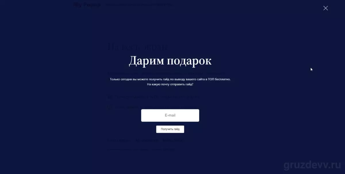 Обзор и отзывы про Wpshop.ru, магазин тем и плагинов для WordPress