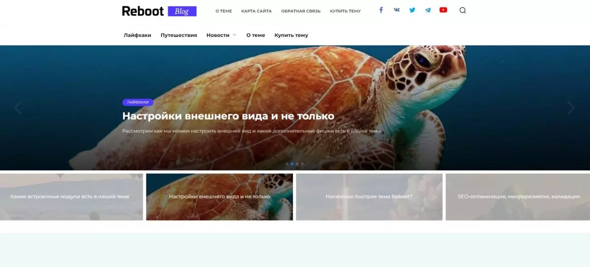Обзор и отзывы про Wpshop.ru, магазин тем и плагинов для WordPress
