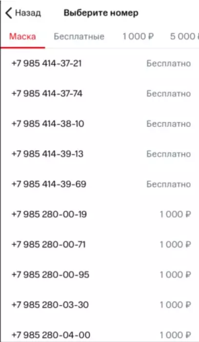 вирт 2.jpg