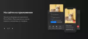 изображение_2022-04-28_213024373