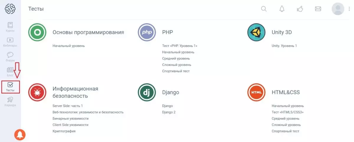 geek brains тесты
