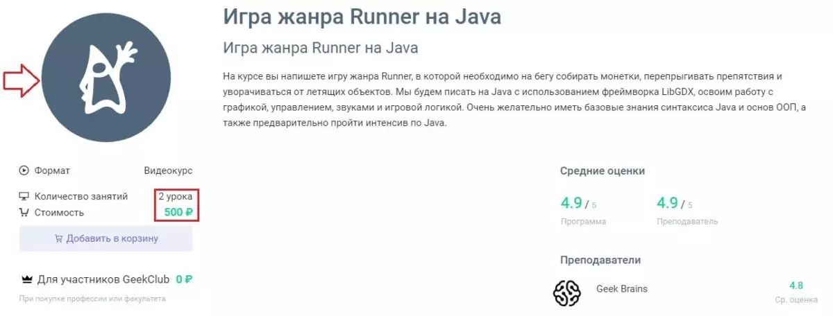 geek brains стоимость