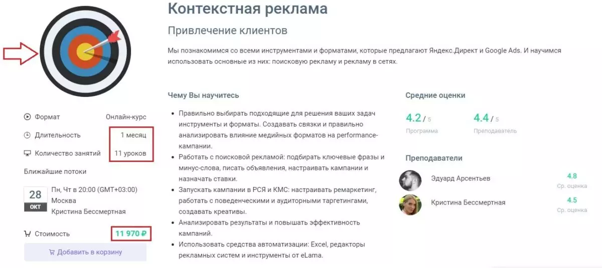 geek brains цена курса