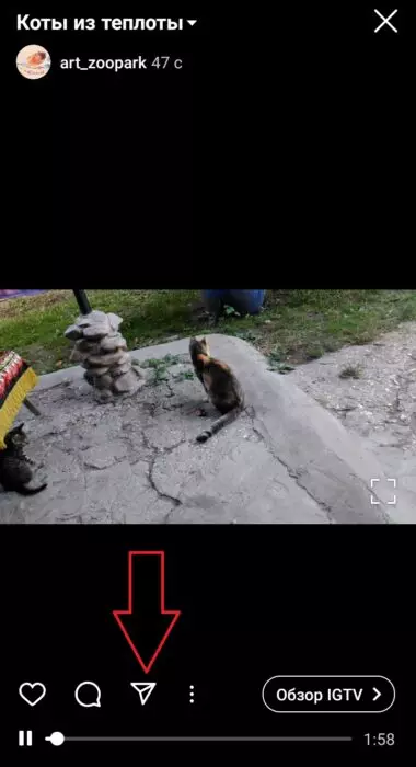поделиться1.jpg