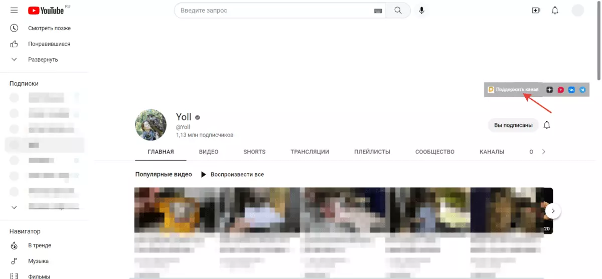 Кнопка поддержать канал.png
